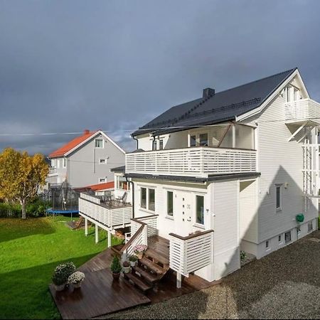 Tromso'S Best Location? City & Nature 5 Mins Away. 외부 사진