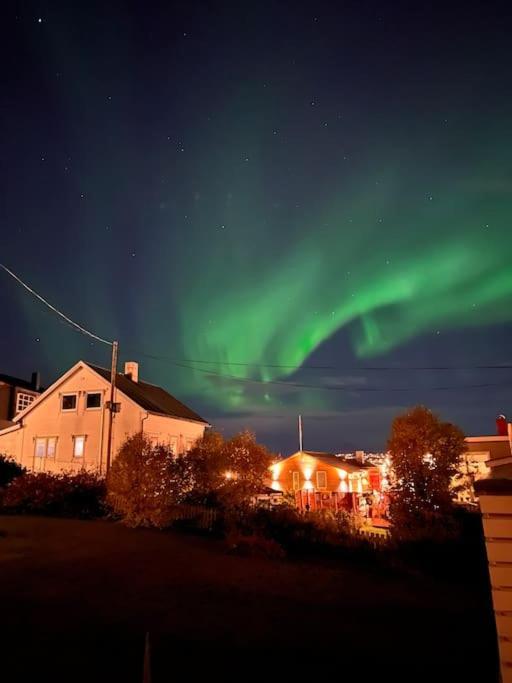 Tromso'S Best Location? City & Nature 5 Mins Away. 외부 사진